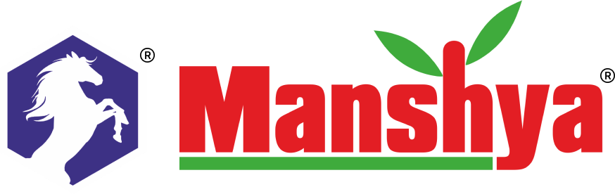 Manshya